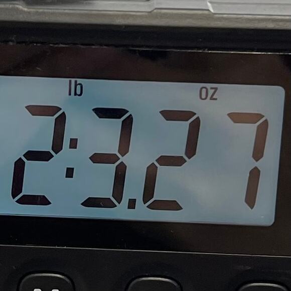 Pelle Studio Leather Jacket Women Size Large Black - Picture 12 of 12